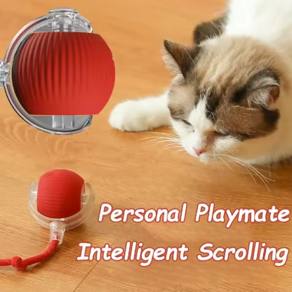 Pet Automatic Rolling Ball Toy