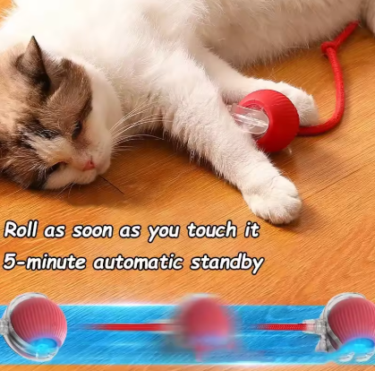 Pet Automatic Rolling Ball Toy